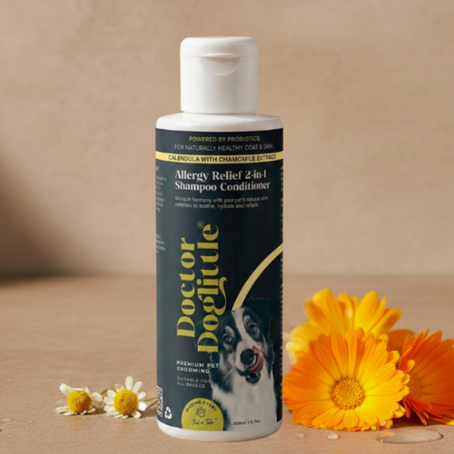 Doctor Doglittle Probiotic Allergy Relief  2-in-1 Shampoo Conditioner 200ml - Animeal