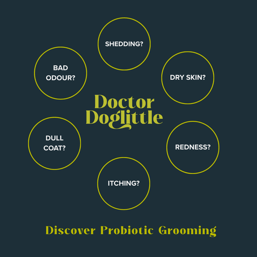 Doctor Doglittle Probiotic Coat Recovery 2-in-1 Shampoo Conditioner 200ml - Animeal