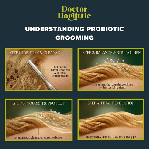 Doctor Doglittle Probiotic Coat Recovery 2-in-1 Shampoo Conditioner 200ml - Animeal
