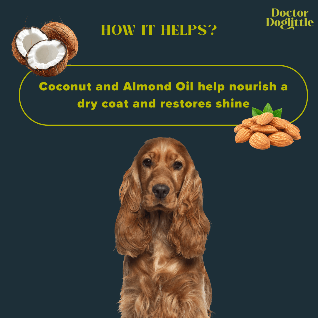 Doctor Doglittle Probiotic Coat Recovery 2-in-1 Shampoo Conditioner 200ml - Animeal