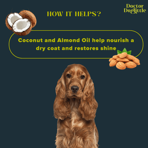 Doctor Doglittle Probiotic Coat Recovery 2-in-1 Shampoo Conditioner 200ml - Animeal