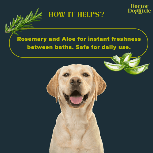 Doctor Doglittle Probiotic Dry Bath Shampoo 100ml - Animeal