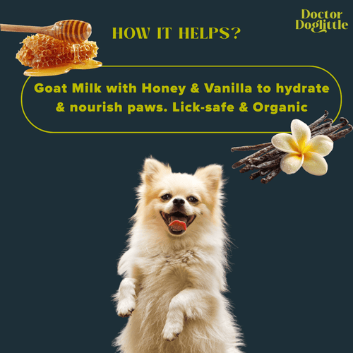 Doctor Doglittle Probiotic Goat Milk Paw & Nose Balm 15g - Animeal