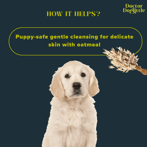 Doctor Doglittle Probiotic Sensitive Skin 2-in-1 Shampoo Conditioner - Animeal