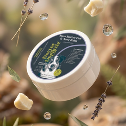 Doctor Doglittle Probiotic Shea Butter Paw & Nose Balm - Animeal
