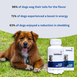 Dog Calcium Tablets – 60 Count - Animeal