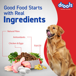 Drools Adult Chicken and Egg Dry Dog Food, 20kg - Animeal