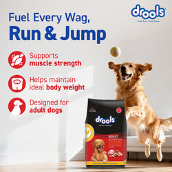 Drools Adult Chicken and Egg Dry Dog Food, 20kg - Animeal