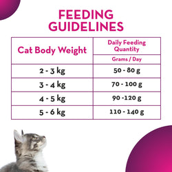 Drools Maxi Adult Ocean Fish Dry Cat Food, 500g - Animeal