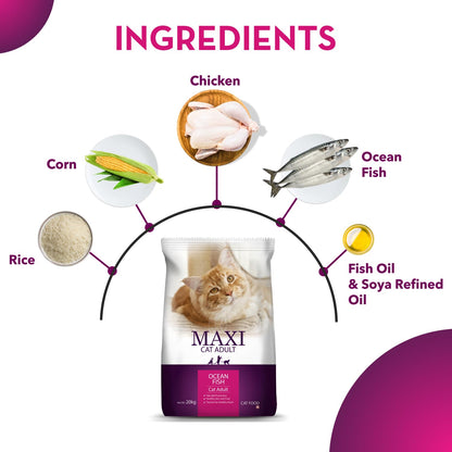 Drools Maxi Adult Ocean Fish Dry Cat Food, 500g - Animeal