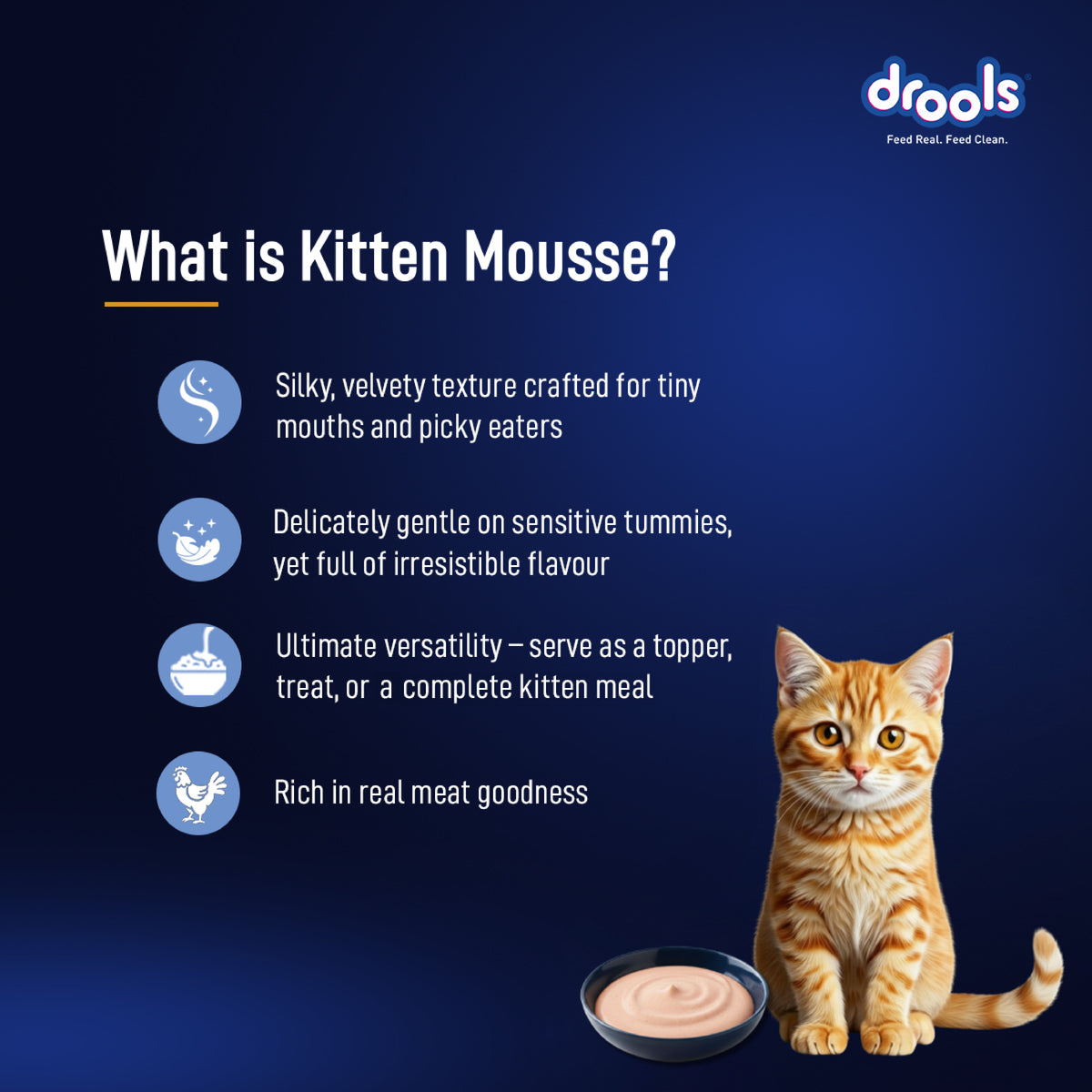 Drools Ocean Fish Mousse Kitten Wet Cat Food, 80g - Animeal