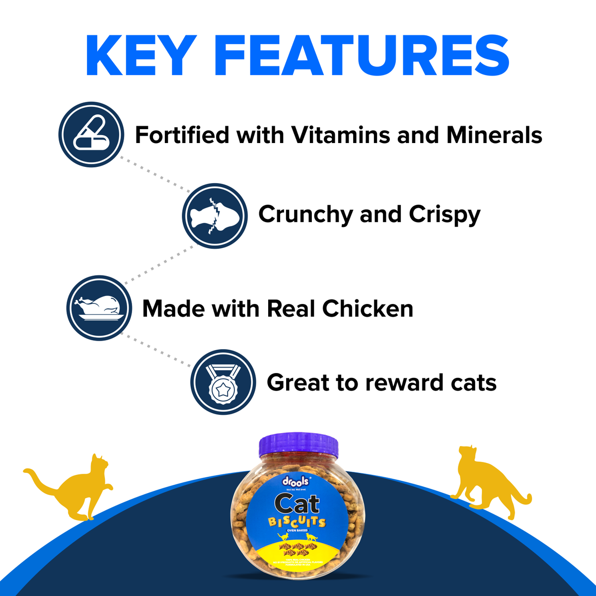 Drools Real Chicken Cat Biscuits 110g - Animeal