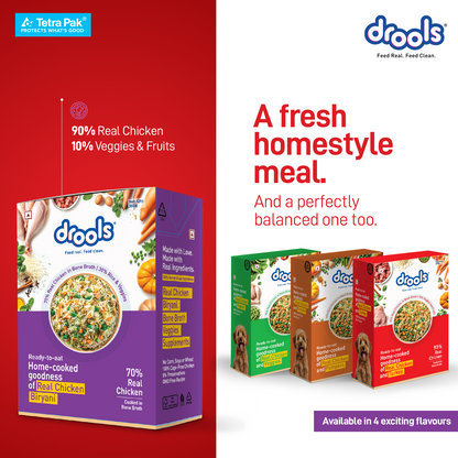 Drools Tetra Pack Real Chicken Biryani 350gm - Animeal