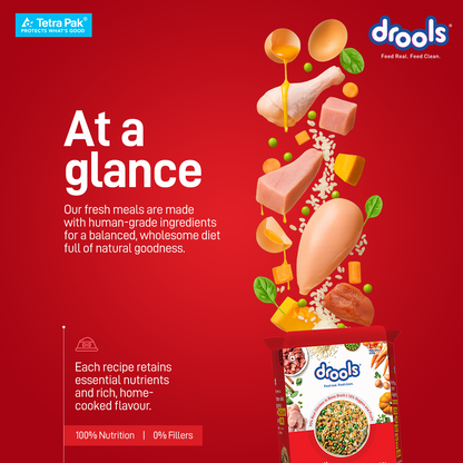 Drools Tetra Pack Real Chicken Turkey 350gm - Animeal