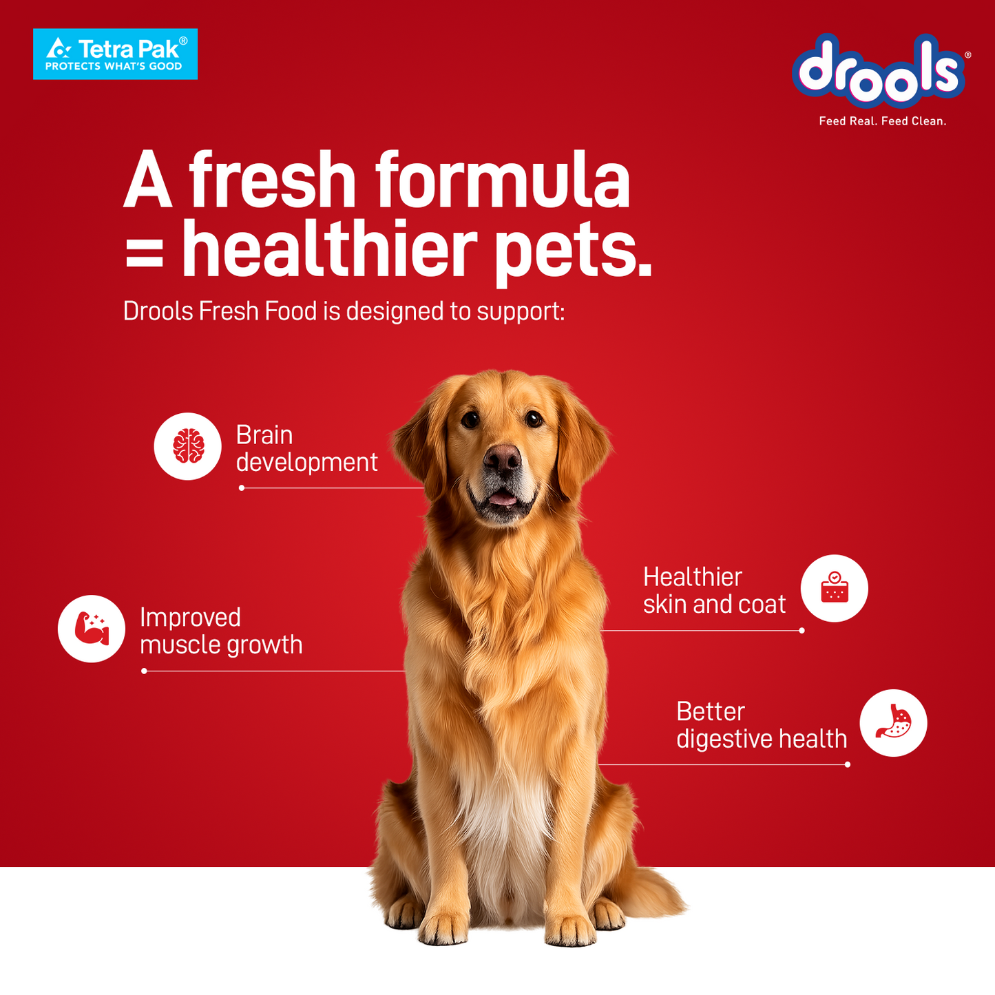 Drools Tetra Pack Real Chicken Turkey 350gm - Animeal