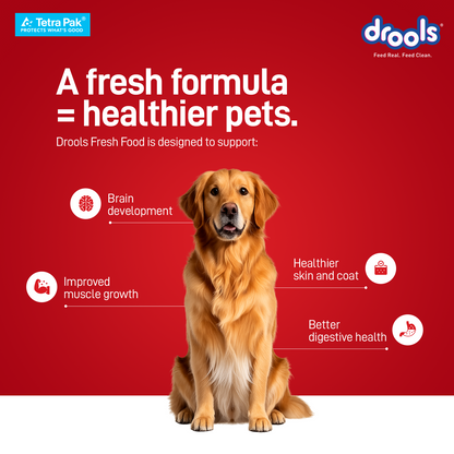 Drools Tetra Pack Real Chicken Turkey 350gm - Animeal
