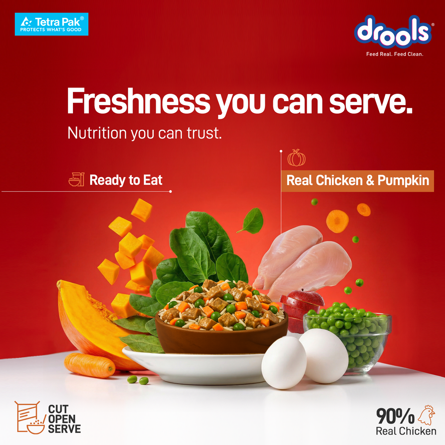 Drools Tetra Pack Real ChickenPumpkin 350gm - Animeal