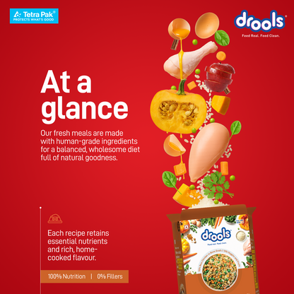 Drools Tetra Pack Real ChickenPumpkin 350gm - Animeal