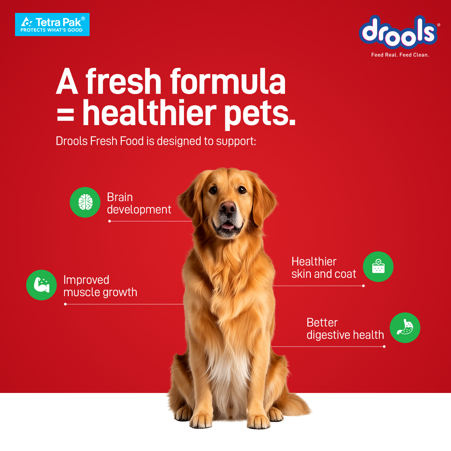 Drools Tetra Pack Real ChickenVeggies 350gm - Animeal