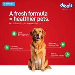 Drools Tetra Pack Real ChickenVeggies 350gm - Animeal