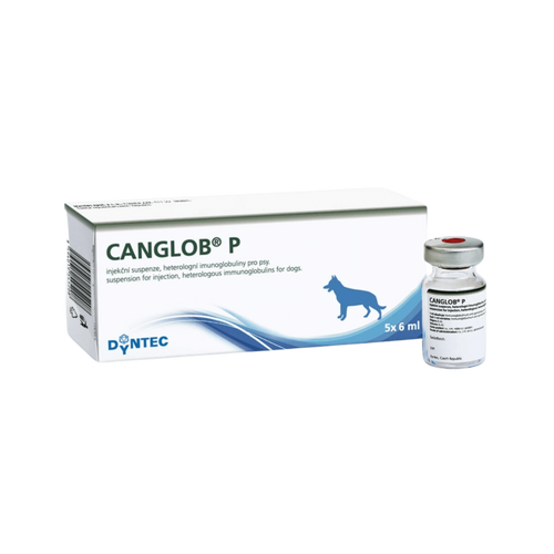 Dyntec Canglob-p Forte Injection for Dogs, 6ml - Animeal