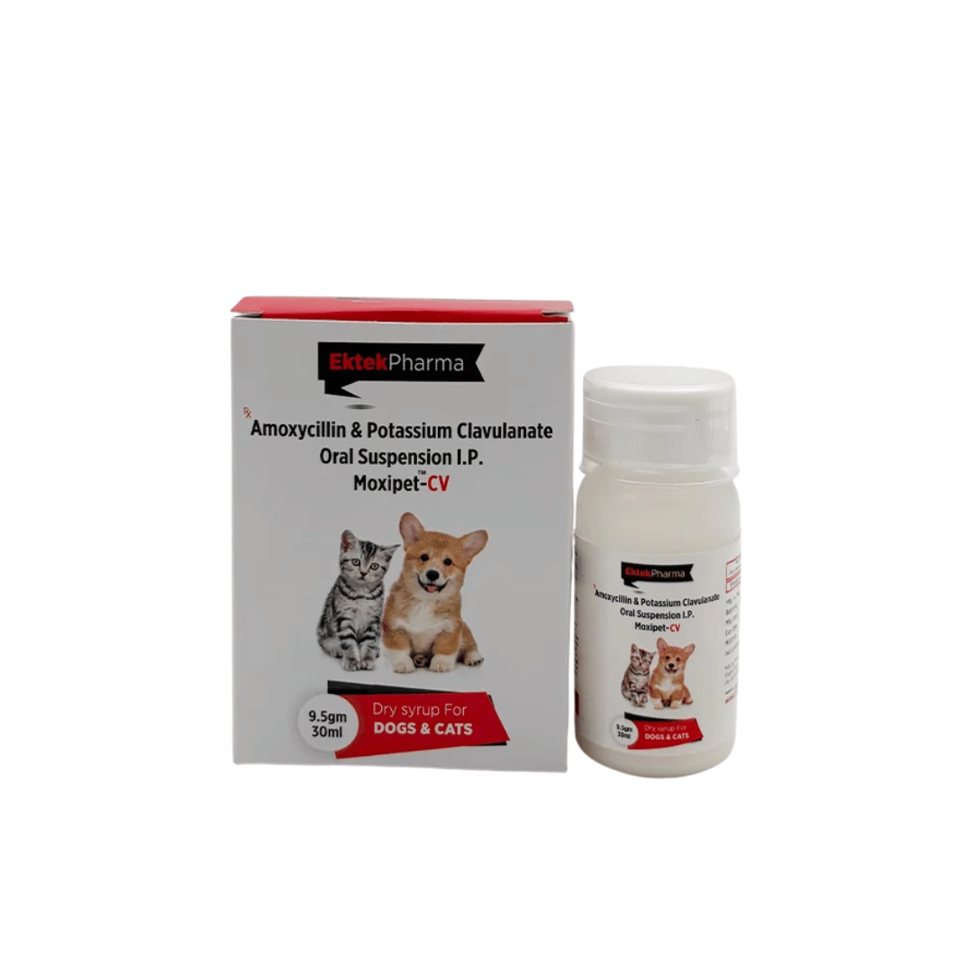 Ektek Moxipet-cv Suspension for Dogs and Cats, 30ml - Animeal