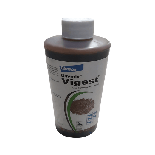 Animeal