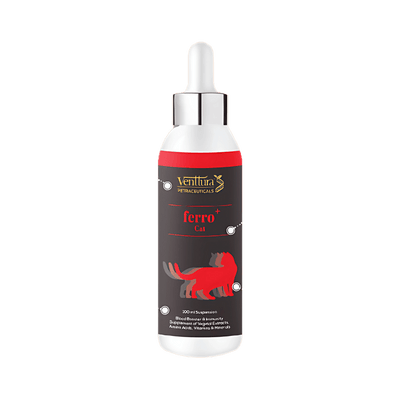 FERRO PLUS CAT LIQUID - Animeal
