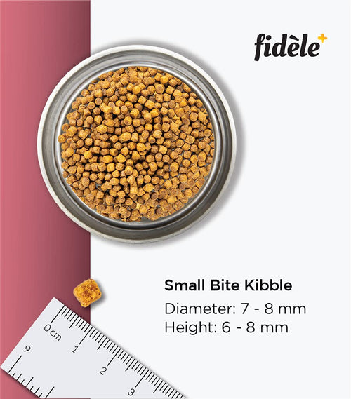 FIDELE PLUS PUPPY SMALL & MEDIUM DRY FOOD [1 KG] - Animeal