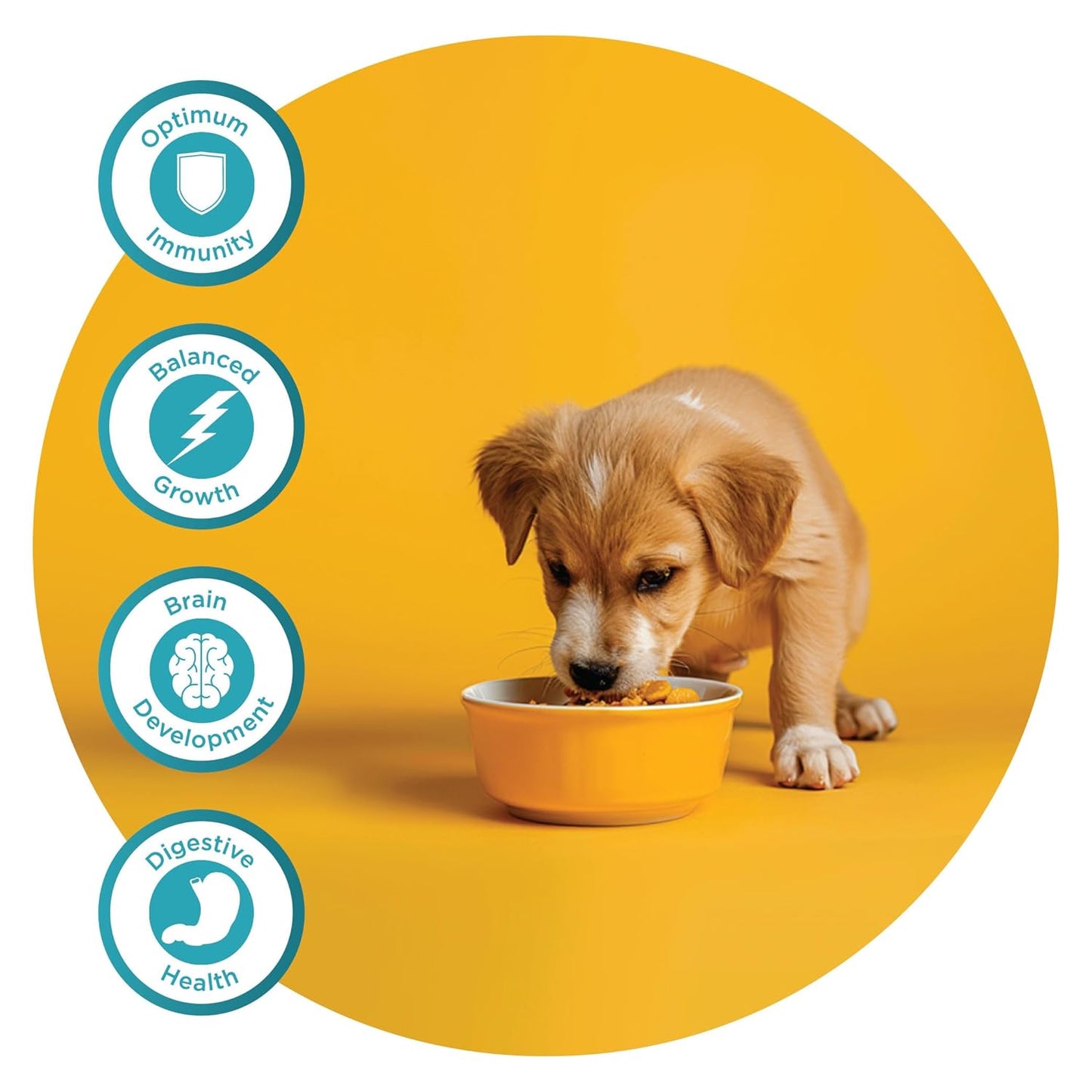 FIDELE PLUS STARTER PUPPY DRY FOOD [1 KG] - Animeal