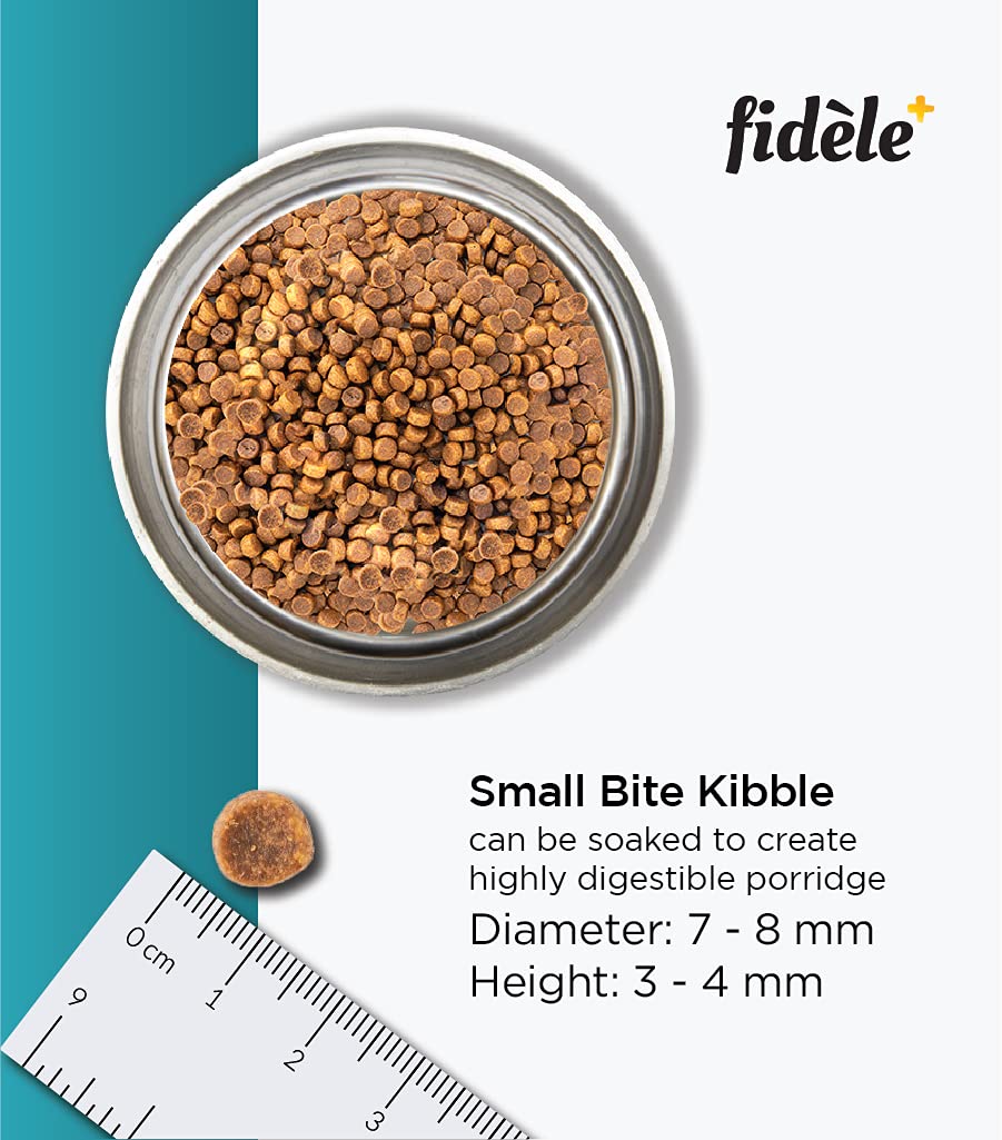 FIDELE PLUS STARTER PUPPY DRY FOOD [1 KG] - Animeal