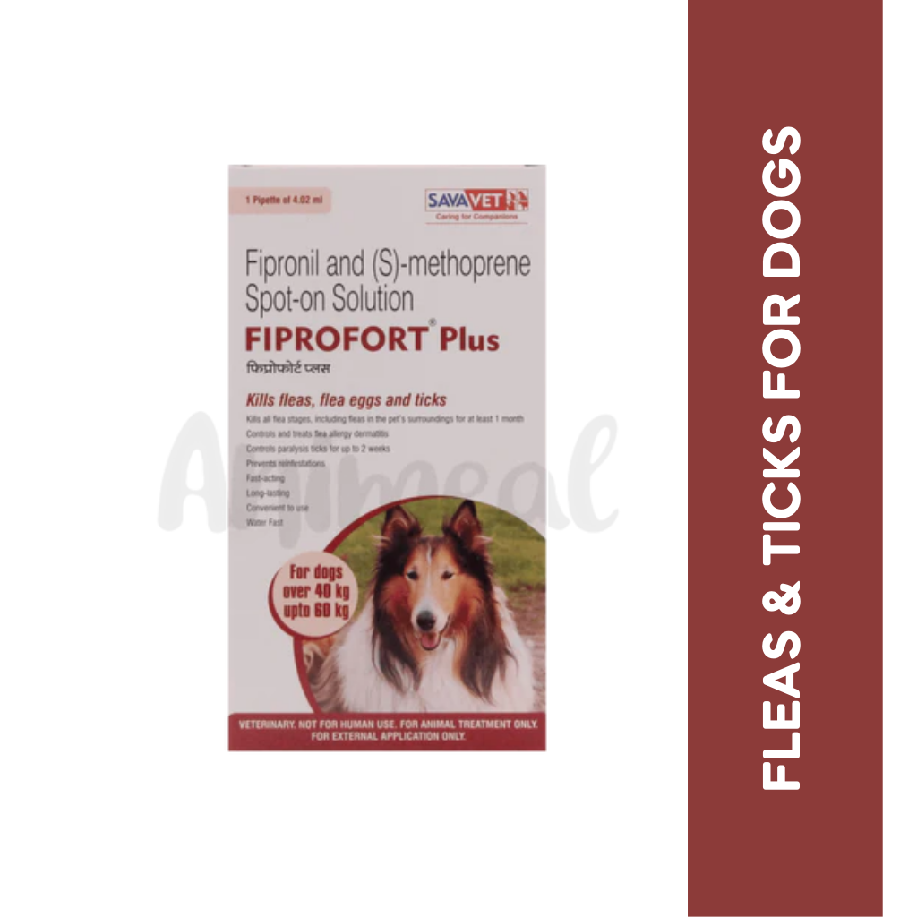 FIPROFORT PLUS (40-60KG) DOG SPOT ON - Animeal