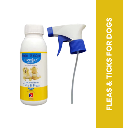 FLICKOUT SPRAY - Animeal