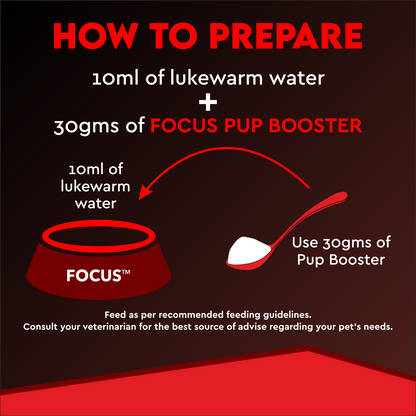 FOCUS PUP BOOSTER - Animeal