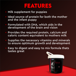 FOCUS PUP BOOSTER - Animeal
