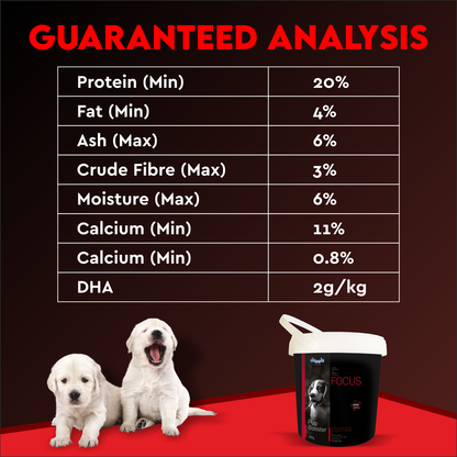 FOCUS PUP BOOSTER - Animeal