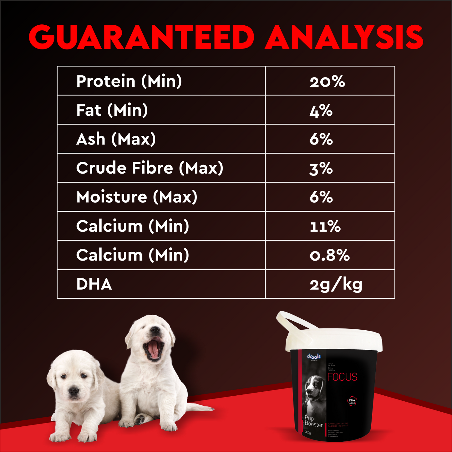 FOCUS PUP BOOSTER - Animeal