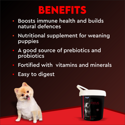 FOCUS PUP BOOSTER - Animeal