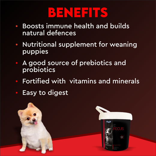 Animeal