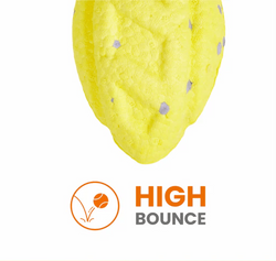 FOFOS ETPU RUGBY BALL FETCH DOG YELLOW TOY - Animeal
