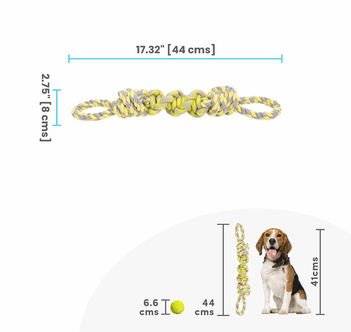 FOFOS FLOSSY ROPE DOG Y/G TOY - Animeal