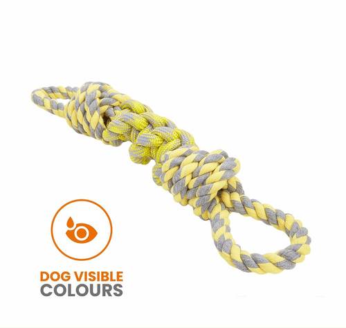 FOFOS FLOSSY ROPE DOG Y/G TOY - Animeal