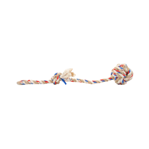 FOFOS FLOSSY ROPE TOY WITH BALL - Animeal