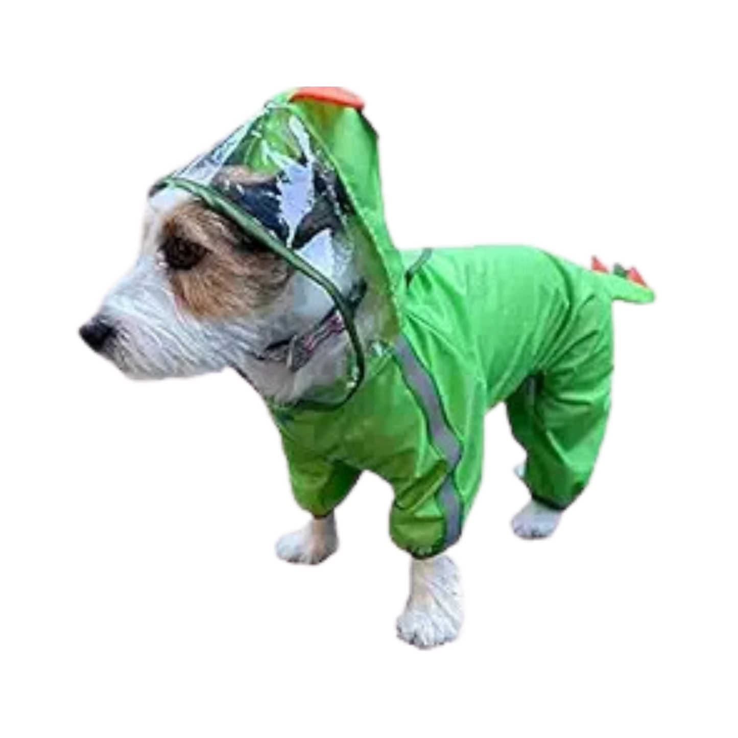 FOFOS PET RAINCOAT- DINOSAUR (L) - Animeal