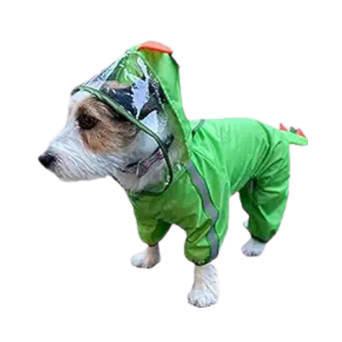 FOFOS PET RAINCOAT-DINOSAUR (XL) - Animeal