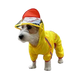 FOFOS PET RAINCOAT -DUCK (M)