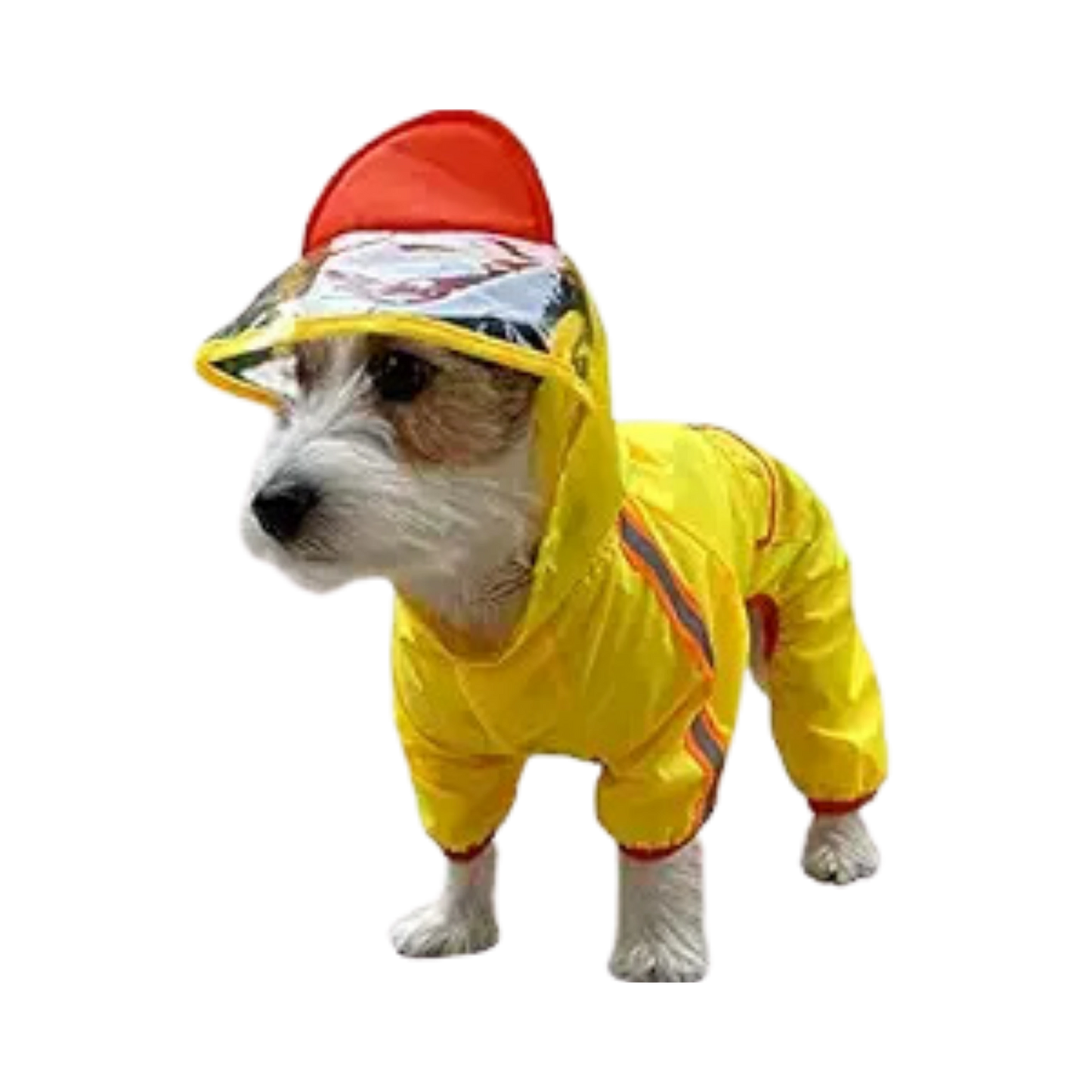 FOFOS PET RAINCOAT-DUCK (XL) - Animeal