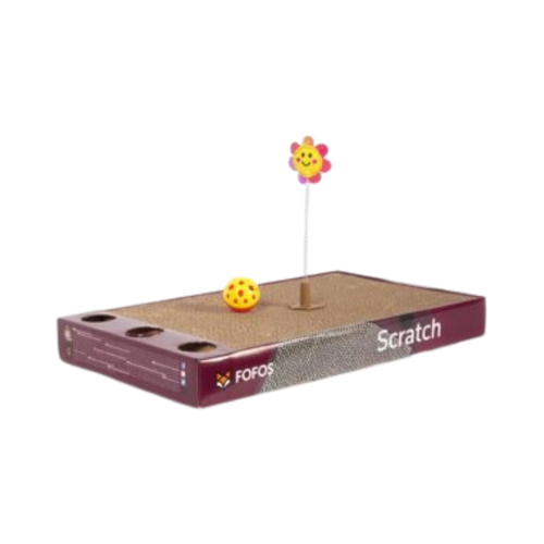 FOFOS ROCK & ROLL PLAY BOX - Animeal