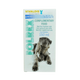 FOLREX PETS SYRUP