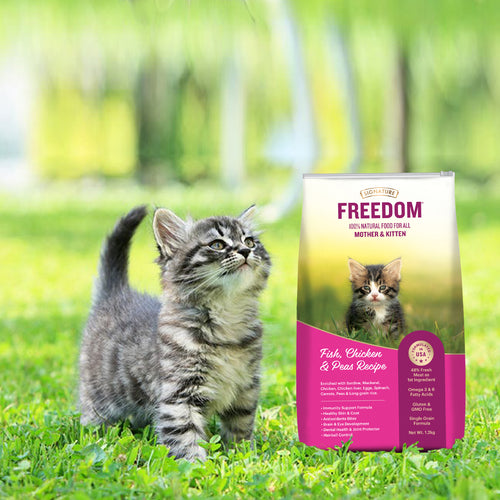 FREEDOM CAT KITTEN DRY FOOD - Animeal